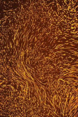 fluo particles